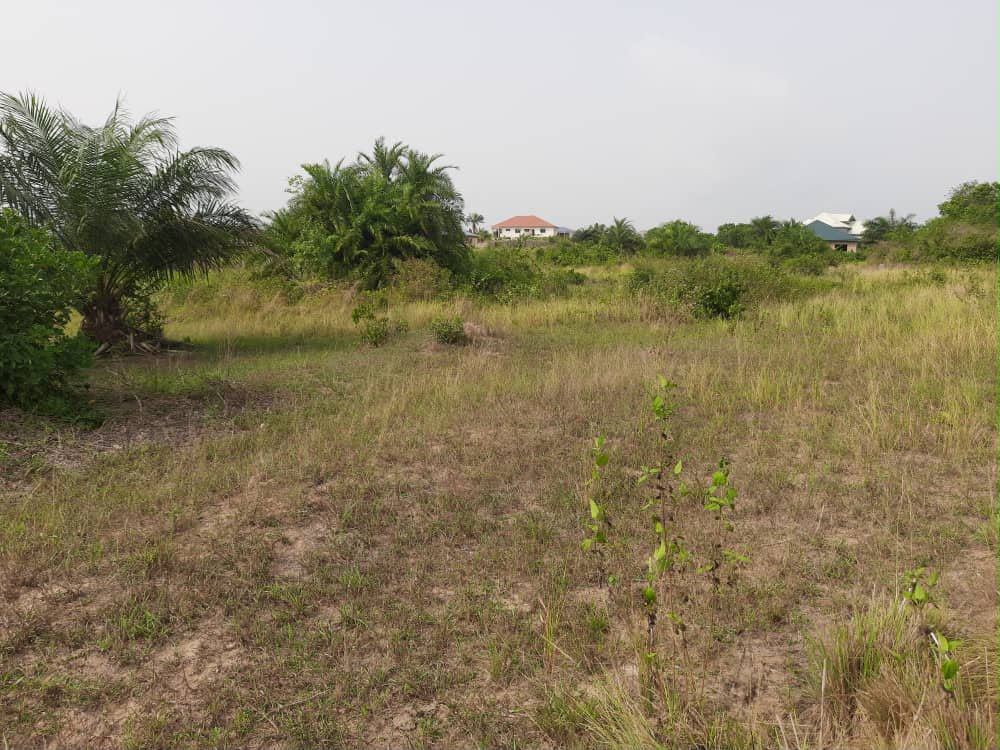 Ampeyi Land for Sale, Elmina site photo 2
