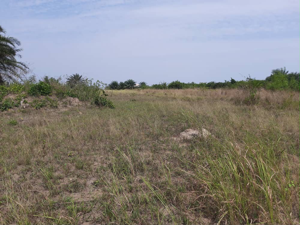 Ampeyi Land for Sale, Elmina site photo 3