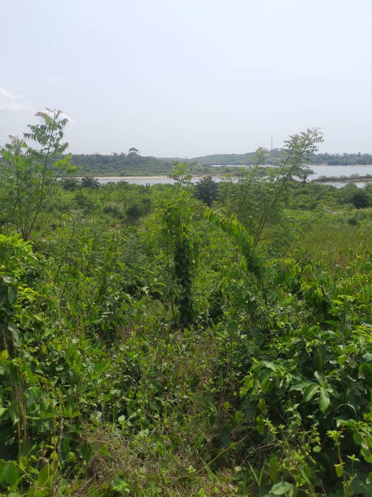Ampeyi Land for Sale, Elmina site photo 6