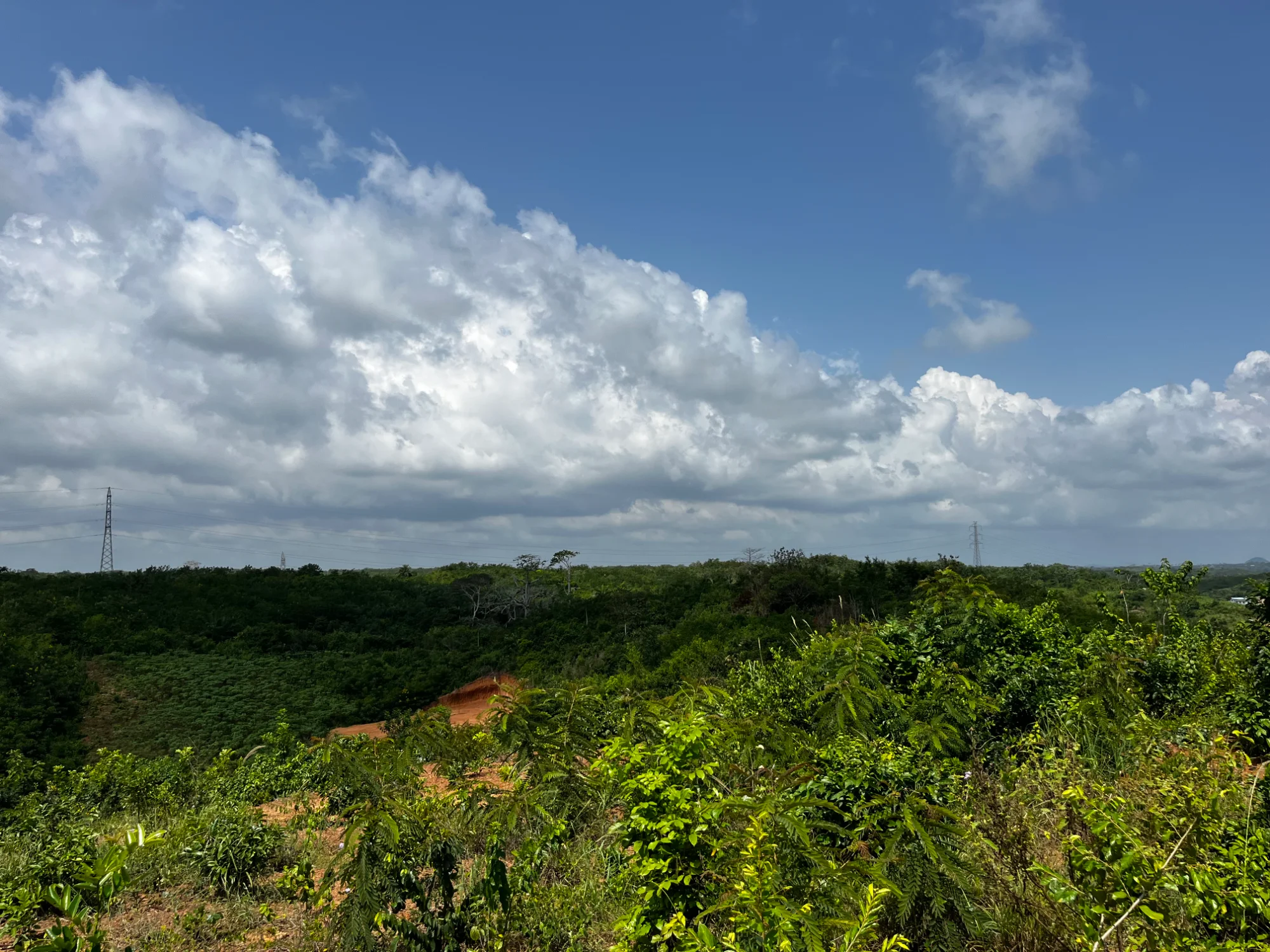Nyamoransa View